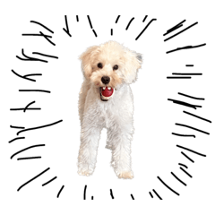 マシュースタンプ②