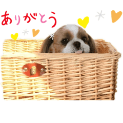 マーチスタンプ①