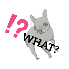 Yolanda_20230806191409