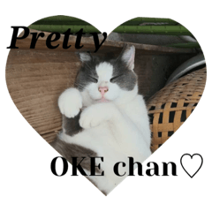 ひとんちの、ねこ