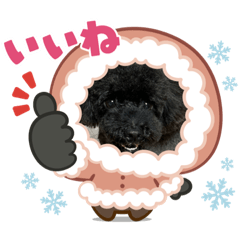 ごえもんワンコ　冬プラスちょこっと再販