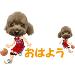 バスケ部マロチ3 y.land