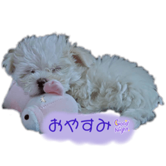 ぼくちんの日常まるいち