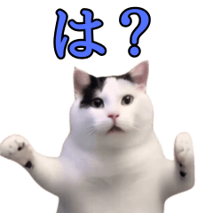 動く！踊る猫ミーム！(パート8)