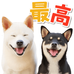 毎日使える♪リアルなわんこ