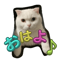 ケイケイの日常