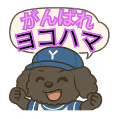 トイプードル　すえぞう1