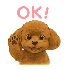 うちの愛犬ぴこ