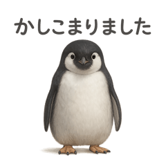 やさしい敬語の動物たち〜日常とビジネス〜