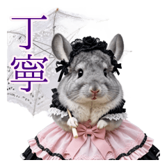 チンチラお嬢様の高貴すぎる丁寧語