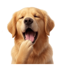 PAW RANGERS : Nong Seven & Nong Eleven