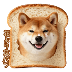 具じゃないよ！食パン柴犬