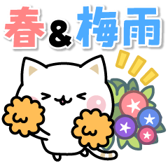 飛び出す！気づかいのできるネコ♪春・梅雨