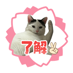 らいとの毎日使える挨拶スタンプ