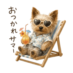 ヨークシャーテリアの夏Summer