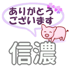 信濃「しなの」さん専用。日常会話