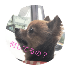 モカとガンちゃん