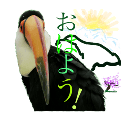 地球 の 動物達