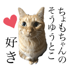 ちょもちゃんへ送る。愛しのメッセージ編