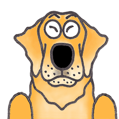 最良の友 ゴールデン・レトリーバー No.2