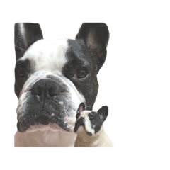 男と書いて「だん」です。