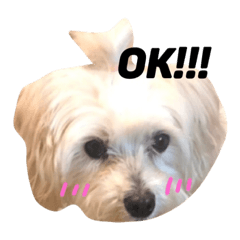 日常的まるぷースタンプ