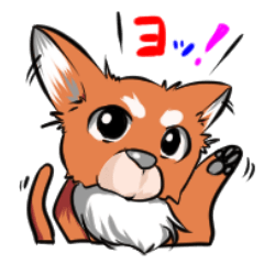 メッセージわんわん