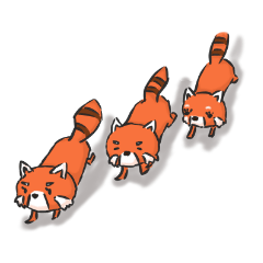 どこぞのレッサーパンダ　２