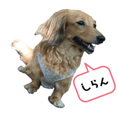 ももちゃんふうまくんスタンプ