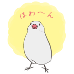 気まぐれ白文鳥