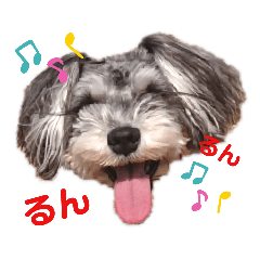 こはるんファミリー