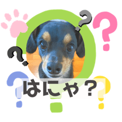 チワックスのまはろ