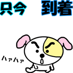 文字も動く？犬おやじ2