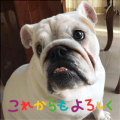 かわいこちゃん