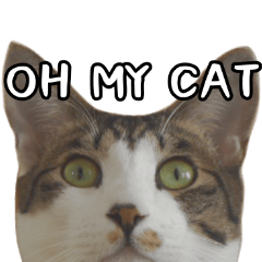 ぼくジューザー4