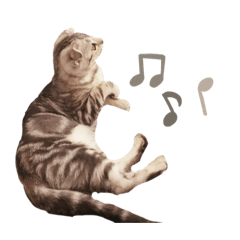 ココとマロンのお部屋