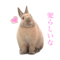 のんびりうーちゃん2