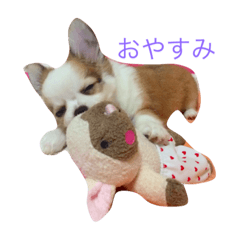 ちびっこめろさんのつぶやき