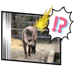 Animal greetings part2