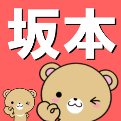超★坂本(さかもと・サカモト)なクマ
