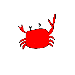 シュールな海の生き物達