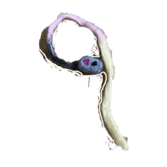 チャイルドアート