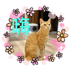 Alison_20210617174546