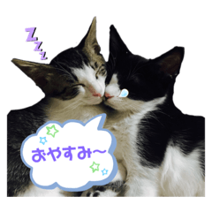 ゆうかとにの。