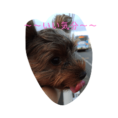 ロロちゃんスタンプファン