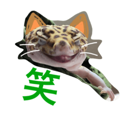 ニコのせいかつvol.2