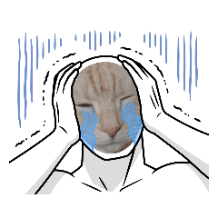 ラテくん 人間に、なってみた