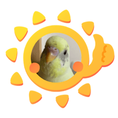 かわいいポピコ