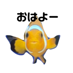 可愛い（？）魚や動物スタンプ