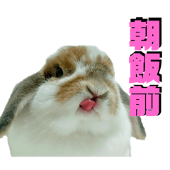 我が名はなみたん